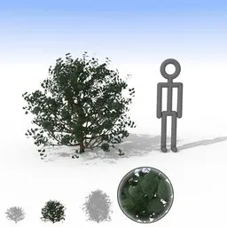 Alt text: "Dark shiny leaf bush - a 3D model for Blender 3D, in the nature-outdoor category. Use it to fill your garden or landscape. Contains separate leaves for customization."