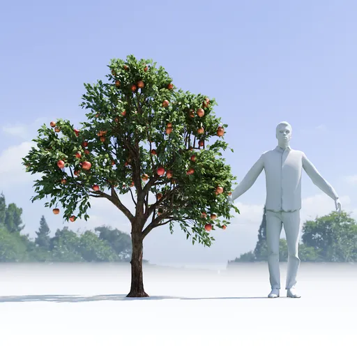 Apple Tree