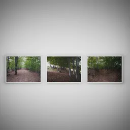 Forest Wall Art Set nature
