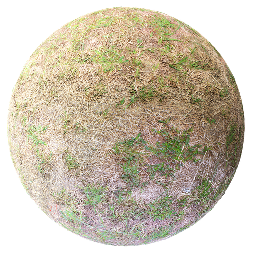 Grass 03