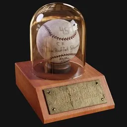Commemorative Baseball Display