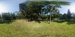 The shade of the trees at noon 16k