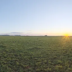 Bloem Field Sunrise