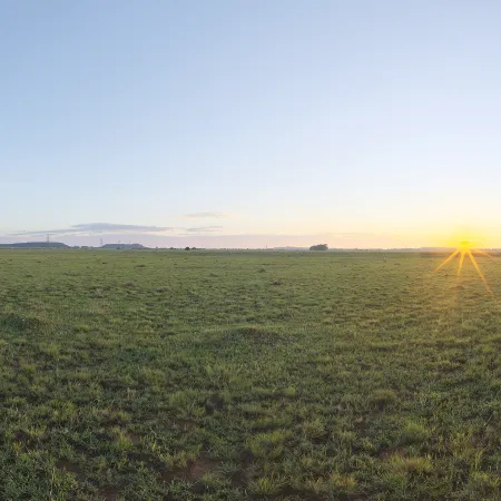 Bloem Field Sunrise