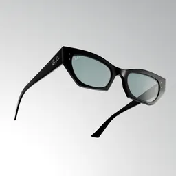 Ray Ban Sunglasses