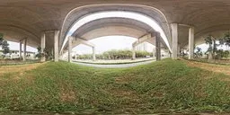 360-degree HDR panorama of an overpass with lush greenery and overcast sky for scene lighting.