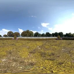 Garden Fall Backdrop Day with Fence