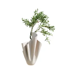 Indoor Plant Mission Olive Tree