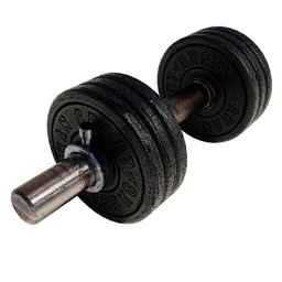 Dumbbell with adjustable weights