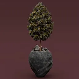 Tree in stone planter