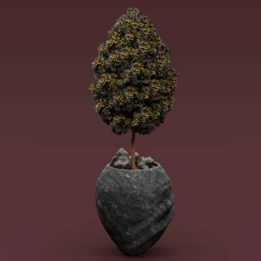 Tree in stone planter
