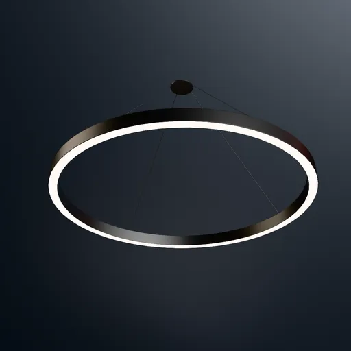 Ceiling Light Ring