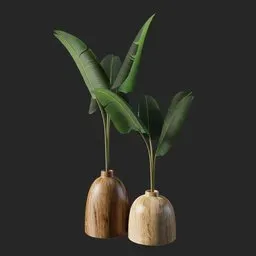 Tabletop plant
