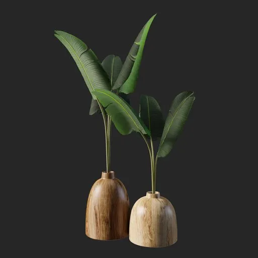Tabletop plant