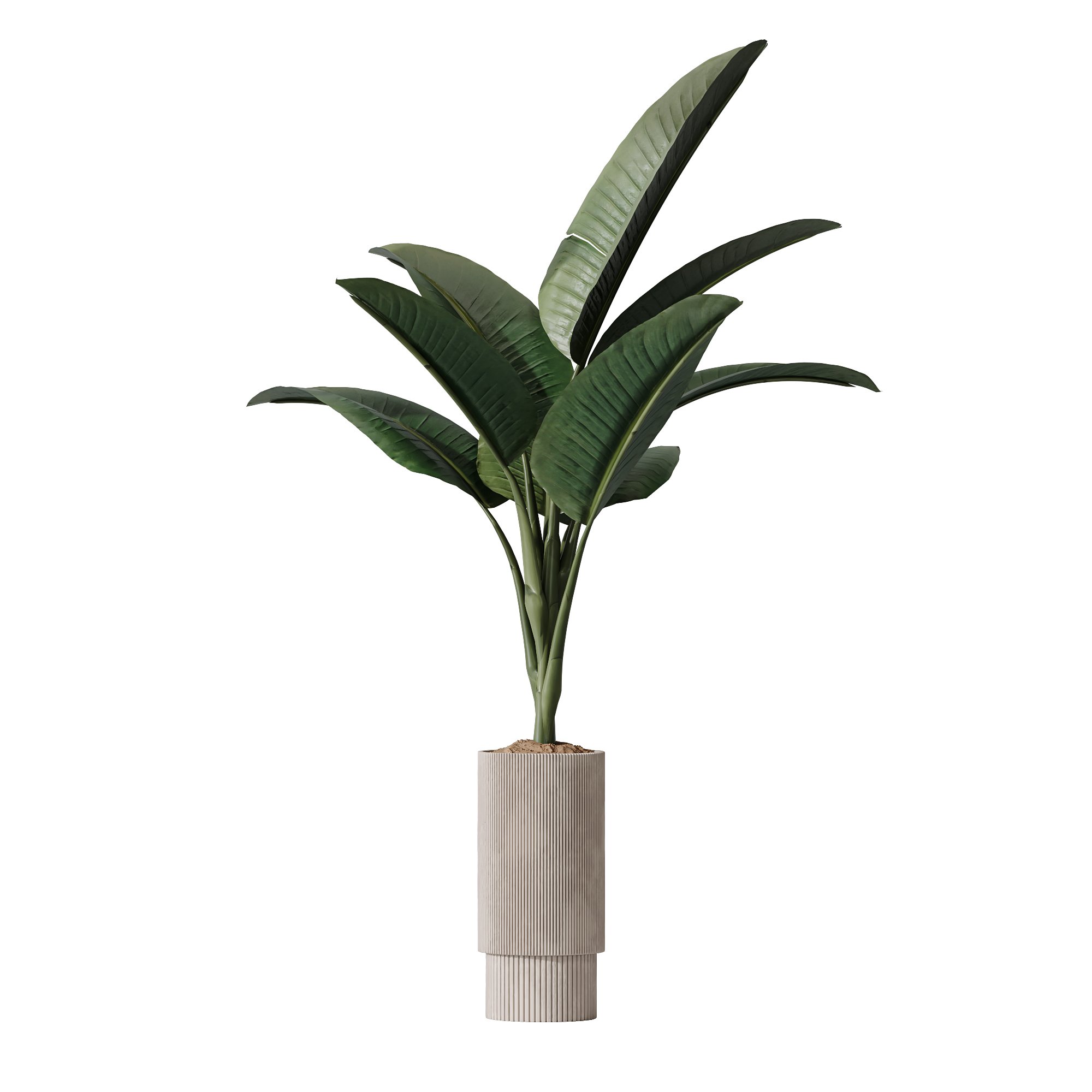 Plants Bird Of ParadiseBird Vase Indoor Plants models BlenderKit