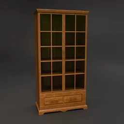 Vintage Bookcase/Cabinet