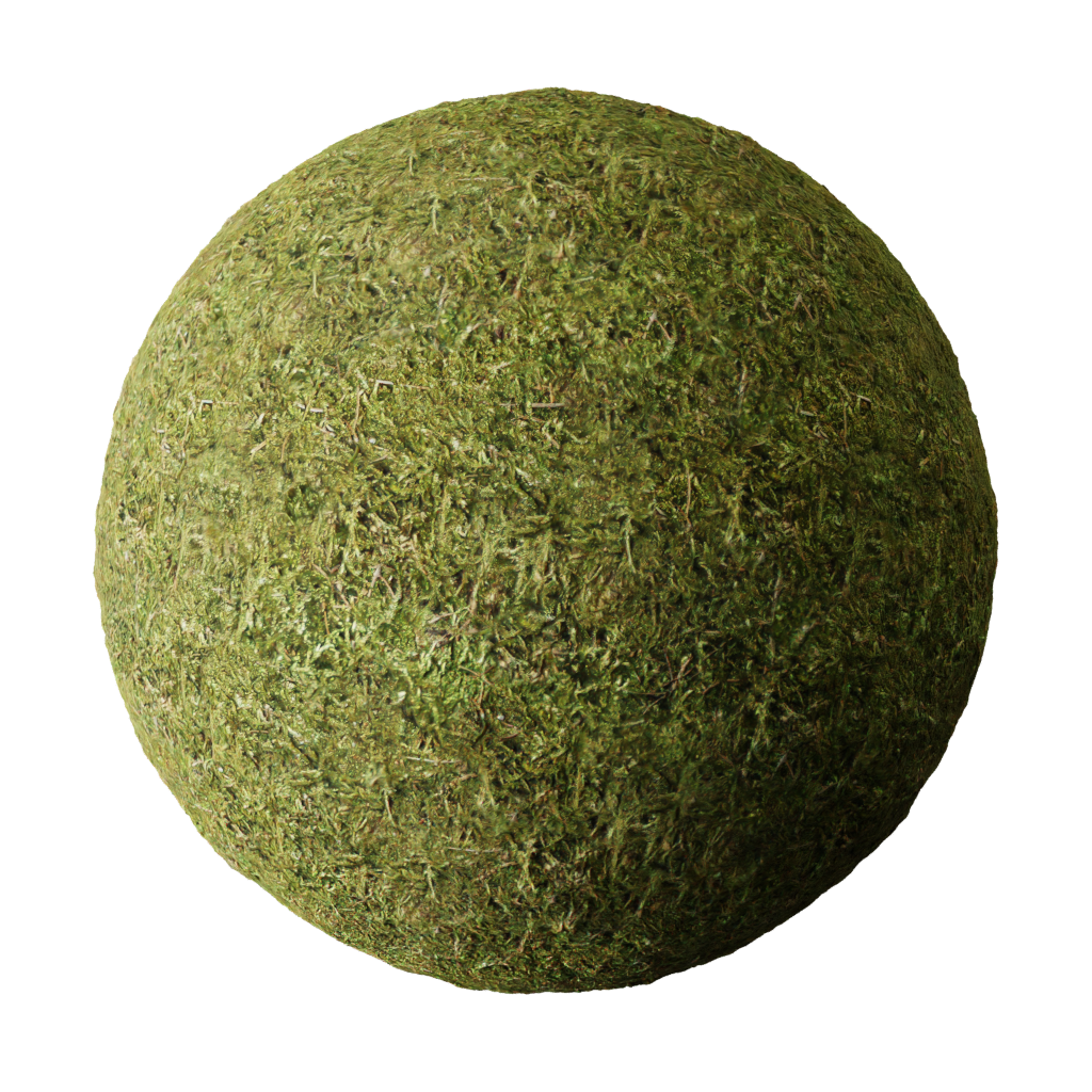 Moss FREE 3D organic materials BlenderKit