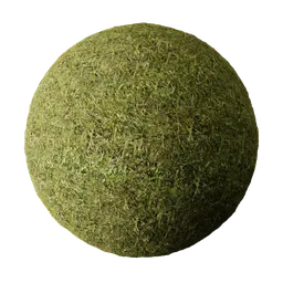 Realistic 2K PBR organic moss texture for 3D modeling and rendering in Blender and other platforms.