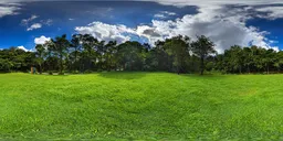 Cloudy grass during the day