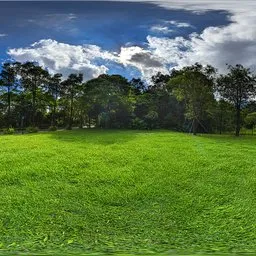 Cloudy grass during the day