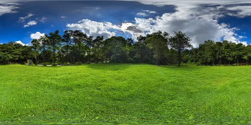 Cloudy grass during the day