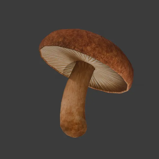 Shiitake stale