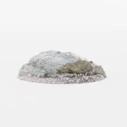 Realistic 3D beach rock model with white quartz textures, perfect for Blender landscape simulation.