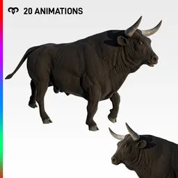 Bull Black With Animations