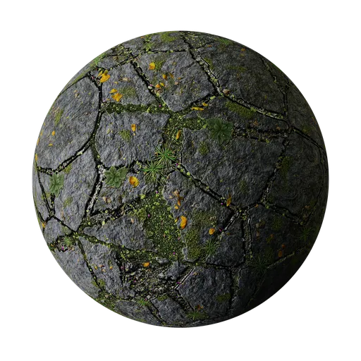 Mossy Flagstone Pavers