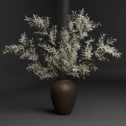 Dried Olive Branches in Vase