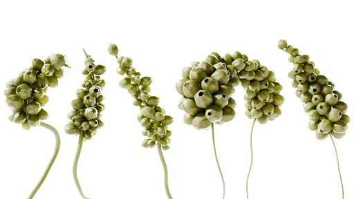 Fictional Plants