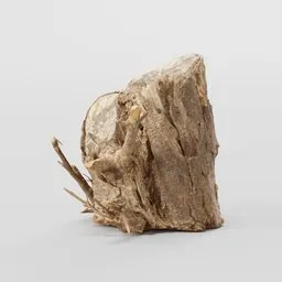 High-resolution 3D scanned wooden log model with detailed textures, suitable for Blender rendering and visualization.