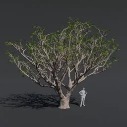 "High-quality 3D model of a majestic Red Coral Tree, perfect for use in Blender 3D. Comes complete with PBR textures and materials. Ideal for cinematic projects."