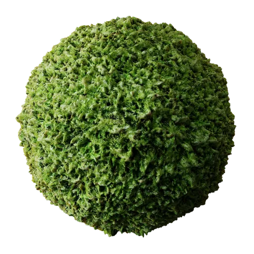 High-resolution Blender 3D PBR moss material for realistic organic texturing in digital models.