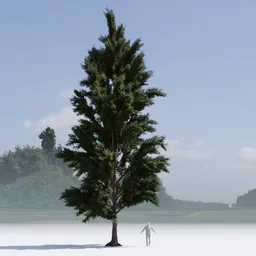 Pine Tree Low Poly variation