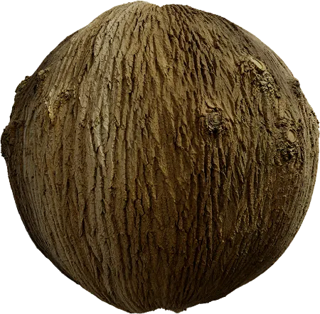 Bark Brown 01