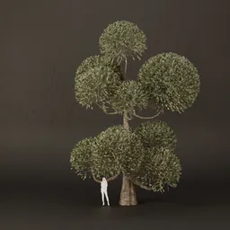 SJ-Ornamental Tree Nestle View