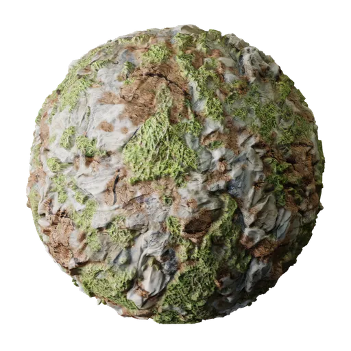 Rock with Grass