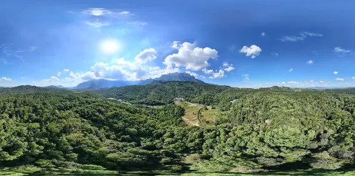 Green tree mountain cloud bluesky