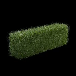 IB-Hedge Grass Strip