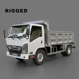 Isuzu Elf DumpTruck