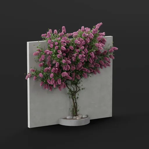 Pink Flower