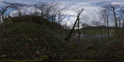 Flower Hillside