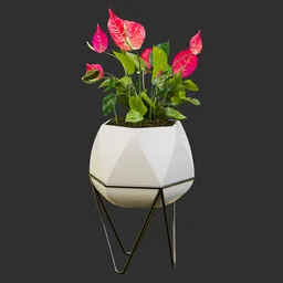 Anthurium in Faceted