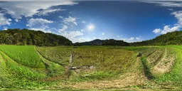 Sunlit fields during the day