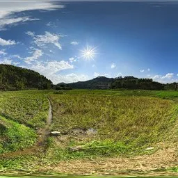 Sunlit fields during the day