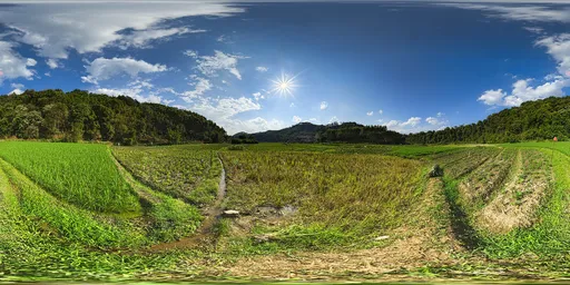 Sunlit fields during the day