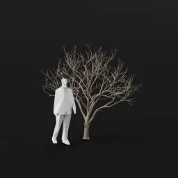 Olive Tree Dead Small