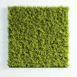 Detailed 3D model of a green artificial Buxus wall panel, customizable in Blender, with geometry nodes.