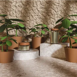 Organic Cosmetic Product Visualization